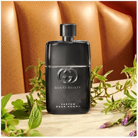 gucci guilty pour homme de gucci|gucci guilty pour homme absolute.